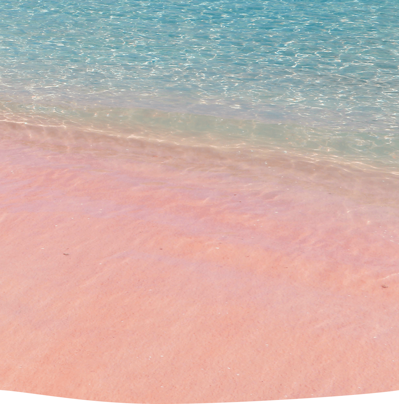 サラトラベルコモド