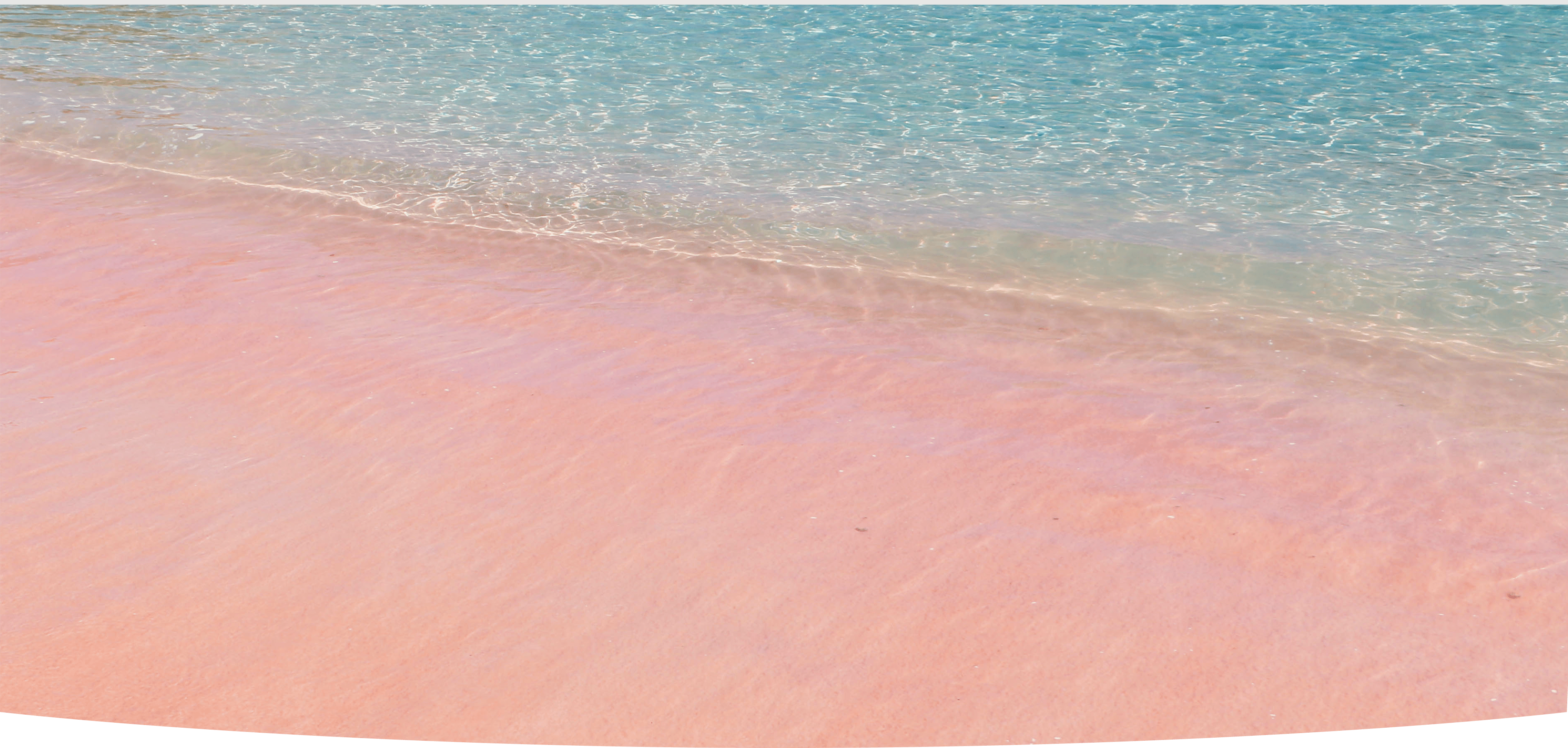 サラトラベルコモド