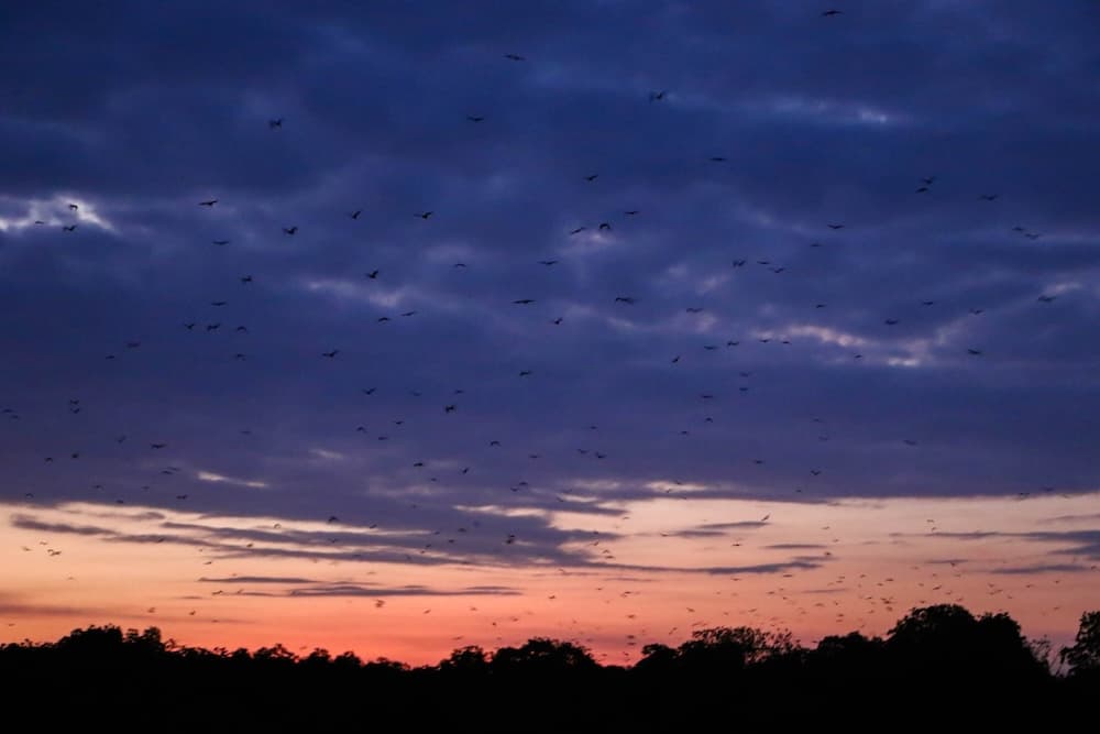 プライベート リンチャ＆サンセット1日観光（日本語ガイド）|コモド諸島旅行はサラトラベルコモド