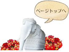 ページトップへ
