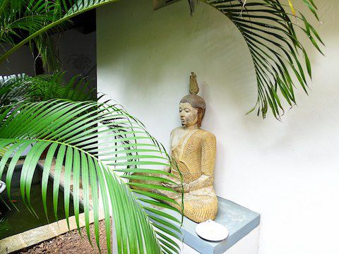 ALAKAMANDA|サラトラベルスリランカ