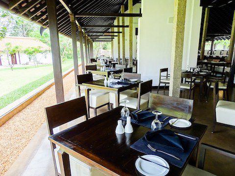 SIGIRIYA JUNGLE|サラトラベルスリランカ
