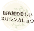国有種の美しいスリランカヒョウ