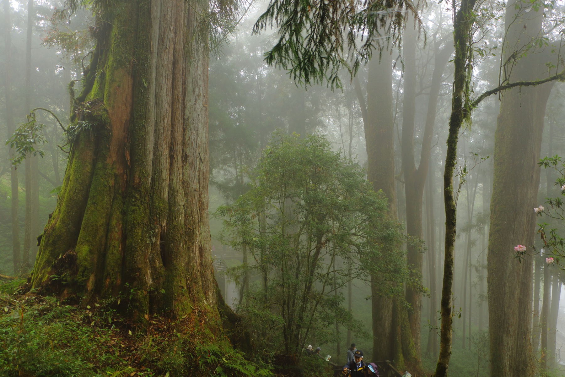 台湾旅行はサラトラベル台湾