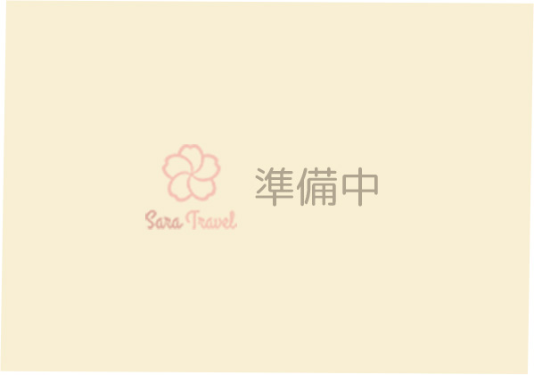 現地ガイド|台湾旅行はサラトラベル台湾